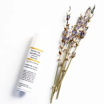 Luscious Lip Conditioner