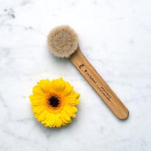 Province Apothecary Daily Glow Dry Facial Brush